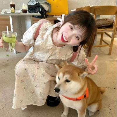 杜鹃的婚约