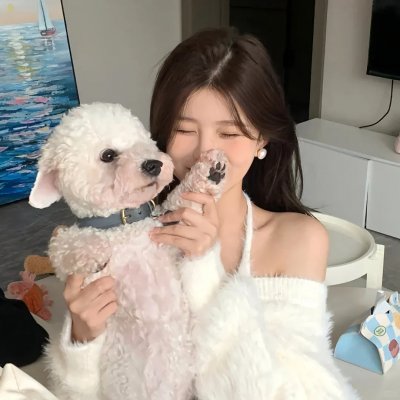 口碑推荐